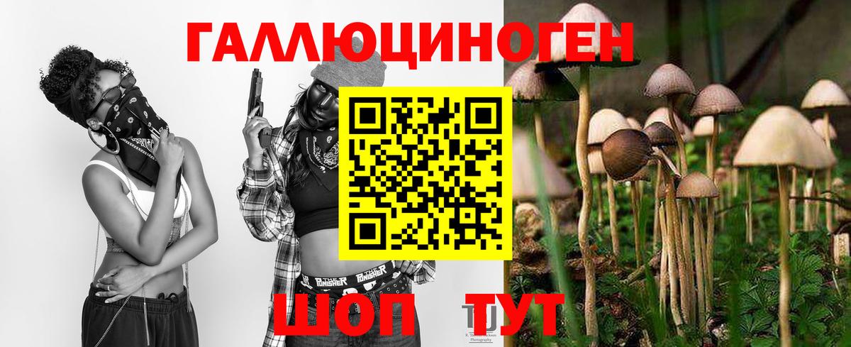 Псилоцибиновые грибы мицелий  Вход с VPN  Гулькевичи 