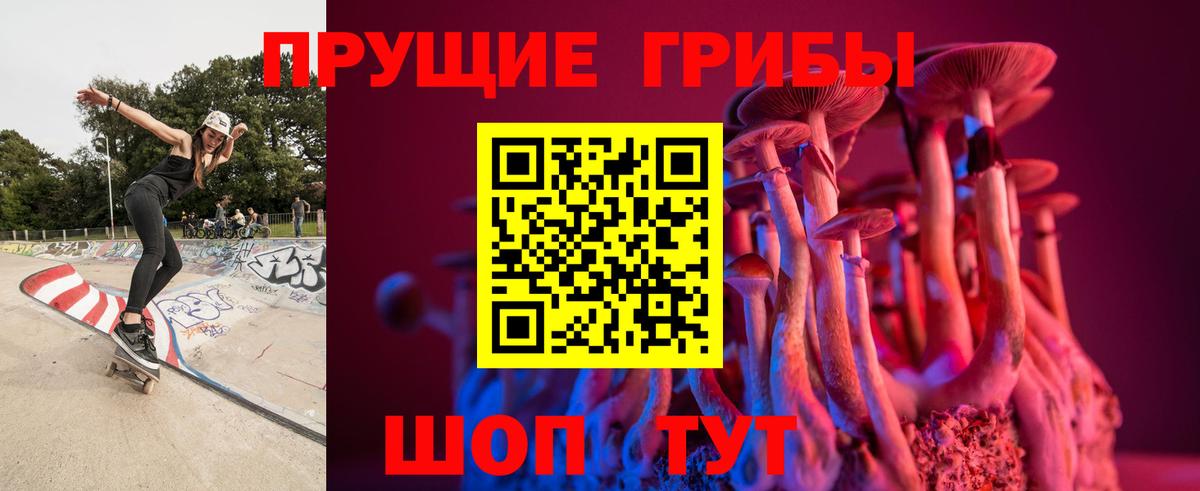 Галлюциногенные грибы прущие грибы Гулькевичи